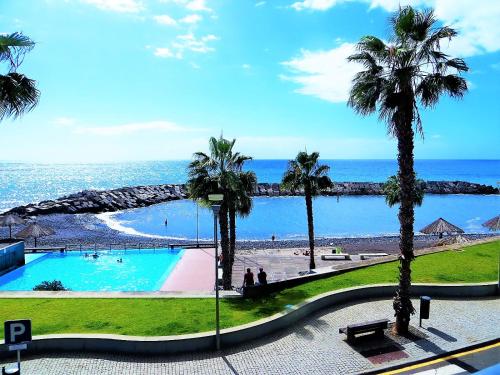 a view of a swimming pool with palm trees and the ocean at Quinta do Cabouco in Ribeira Brava