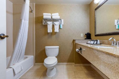 a bathroom with a toilet and a sink and a tub at Comfort Inn Warner Robins - Robins Air Force Base Area in Warner Robins