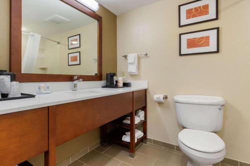 Kamar mandi di Comfort Inn & Suites Cordele