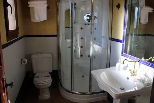 a bathroom with a shower and a toilet and a sink at Finca Rincón de la Vega in Los Cortos