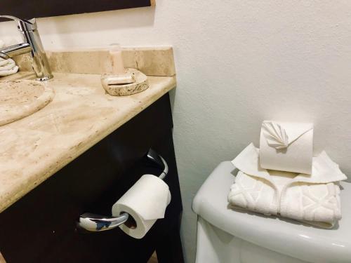 a bathroom with a toilet and a sink and a roll of toilet paper at Casa Blanca Hotel in Jalpan de Serra