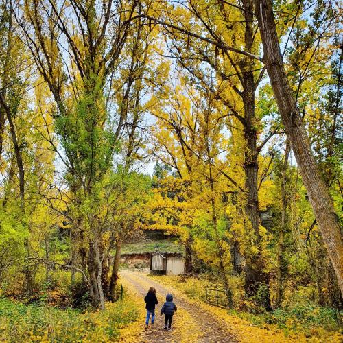 two people walking down a road in the woods at Casa Rural Rincon de la Vega in Los Cortos