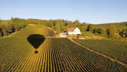 Photo de la galerie de l'établissement Le Mont Laurent, à Buxy