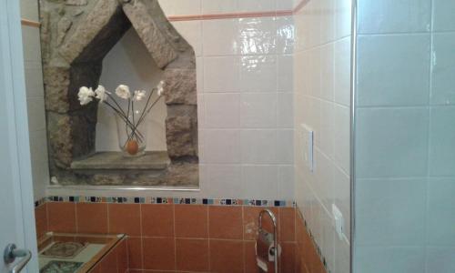 baño con ducha y jarrón de flores en Saffi 103, en Viterbo