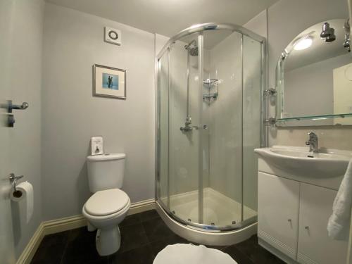 a bathroom with a shower and a toilet and a sink at Flambards Hotel in Cardigan