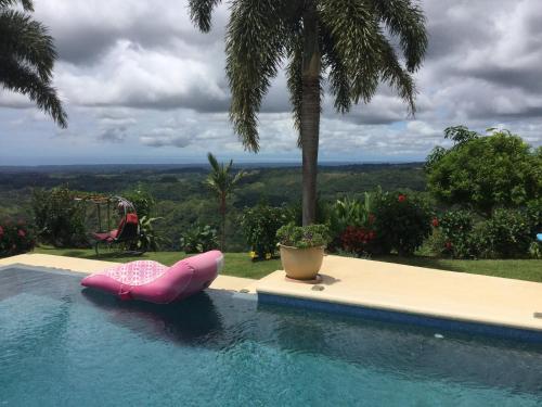 a pool with a pink pool noodle in the water at Hawk's Nest Bed & Breakfast in La Laguna de San Carlos