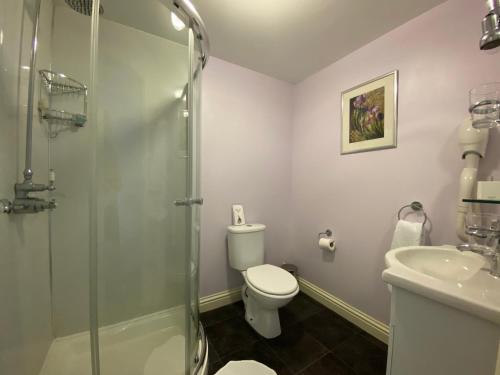 a bathroom with a shower and a toilet and a sink at Flambards Hotel in Cardigan