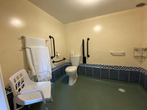 a bathroom with a toilet and a sink at Flambards Hotel in Cardigan