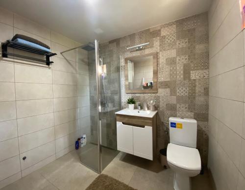 a bathroom with a toilet and a sink and a shower at Vila Novaković in Kladovo