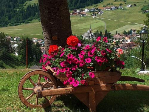 a wooden wheelbarrow filled with flowers in front of a tree at Garni Miravalle in Moena