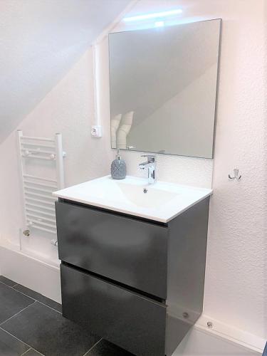 a bathroom with a sink and a mirror at MyHome Basel 3B44 in Saint-Louis