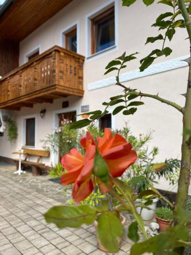 Balkoni atau teres di Guesthouse Sabine - pr` Skminc