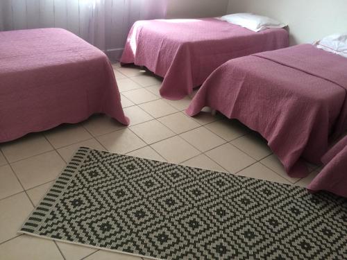 Zimmer mit 2 Betten und einem Teppich auf dem Boden in der Unterkunft Maison cozy in Le Pin