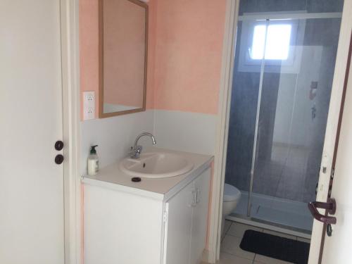 ein Bad mit einem Waschbecken und einer Dusche in der Unterkunft Maison cozy in Le Pin