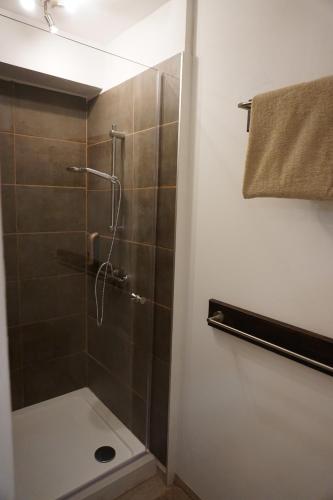 a shower with a glass door in a bathroom at FW An der Roth in Roth