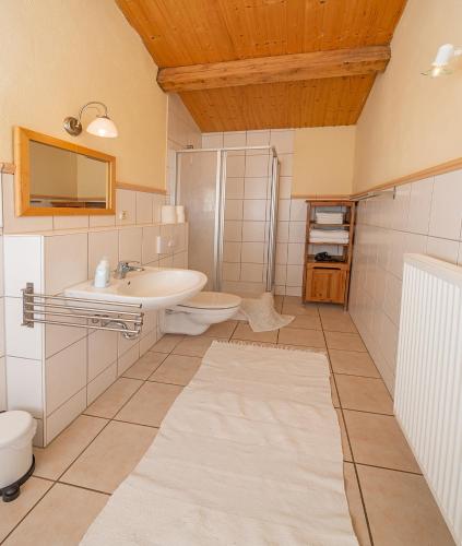 a bathroom with a sink and a toilet at Gut Tausendbachl in Regen