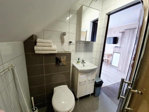ヤスタルニャにあるParadiseのバスルーム(トイレ、洗面台、鏡付)