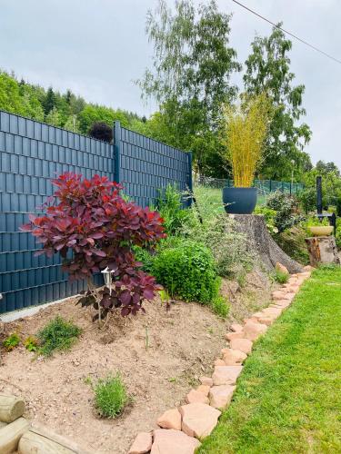 a garden with a blue fence and a plant at L’hippocampe in Wangenbourg