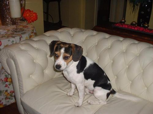 Gallery image of Hotel la Fundacion in Bretún