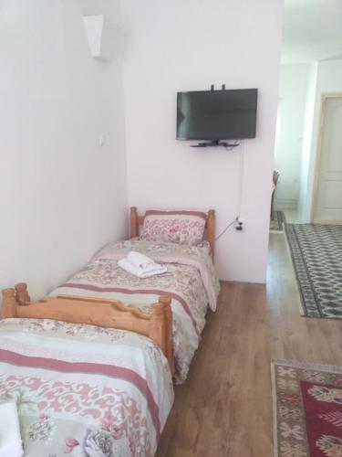 a bedroom with two beds and a flat screen tv at Apartman Milica in Kremna