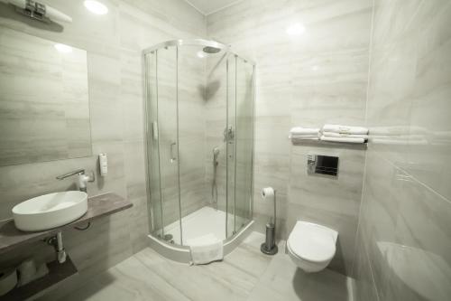 a bathroom with a shower and a toilet and a sink at Zamek Dubiecko in Dubiecko
