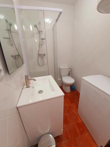 a bathroom with a sink and a shower and a toilet at APPARTEMENT AGATHOIS-2 in Agde