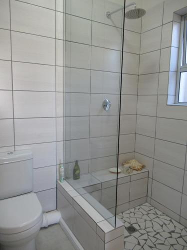 łazienka z prysznicem i toaletą w obiekcie Royal@Sea2 w mieście Muizenberg