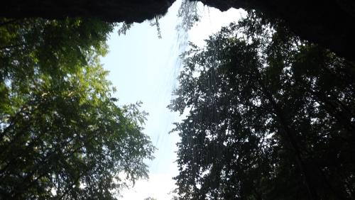 a view of the sky between two trees at Casa de oaspeti Boga in Pietroasa
