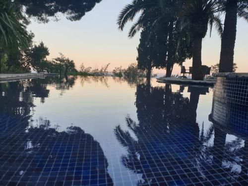 una piscina de agua con árboles y palmeras en Villa La Renarde en Le Lavandou