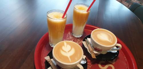 Twee drankjes op een rood bord op een tafel. bij Corso Apartments B&B in Focşani