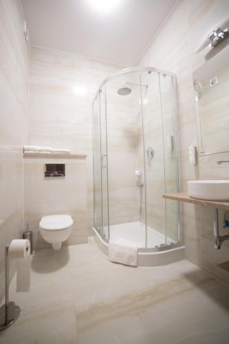 a bathroom with a shower and a toilet and a sink at Zamek Dubiecko in Dubiecko