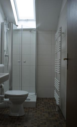 ein Bad mit einer Dusche, einem WC und einem Waschbecken in der Unterkunft wohnung oben Steiger in Bad Birnbach
