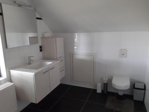 Koupelna v ubytování Lemen huis Houwaart