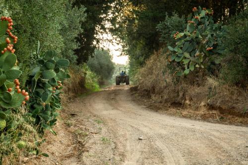 a truck driving down a dirt road with trees at Borgo Valle Rita in Ginosa Marina