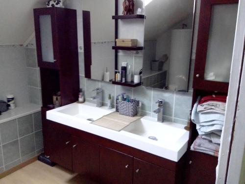 uma casa de banho com um lavatório branco e um espelho. em LE JR 70 Relais Motards em Magny-dʼAnigon