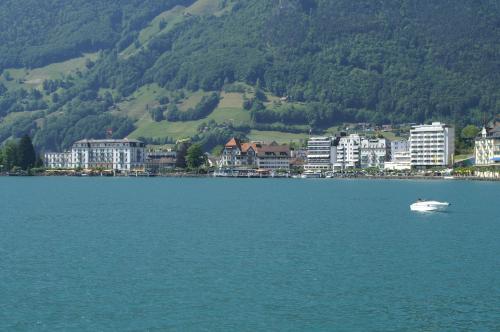 a white boat in the middle of a large body of water at Ferienwohnung Seesicht in Brunnen