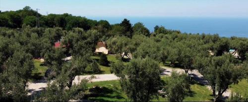 an aerial view of a forest of trees at Green Park Hotel & Residence in Bagnara Calabra