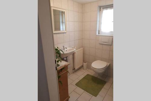 ein Bad mit einem WC und einem Waschbecken in der Unterkunft Ferienwohnung am Hatler Brunnen in Dornbirn