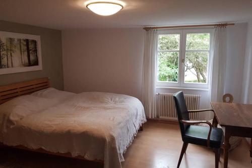 Schlafzimmer mit einem Bett, einem Schreibtisch und einem Fenster in der Unterkunft Ferienwohnung am Hatler Brunnen in Dornbirn