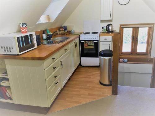 uma pequena cozinha com um micro-ondas e um lavatório em Oak Cottage em Taunton