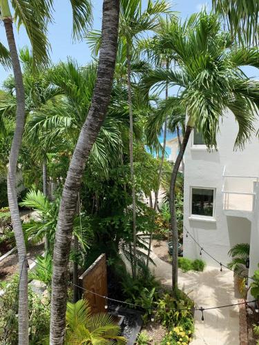 a group of palm trees in front of a white house at Sand Castle on the Beach - Adults Only in Frederiksted