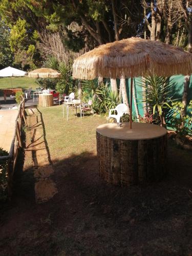 Κήπος έξω από το CABANA DO SOL