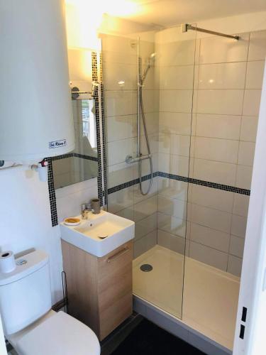 une salle de bain avec une douche, des toilettes et un lavabo dans l'établissement Appartement proche plage refait à neuf, à Villers-sur-Mer
