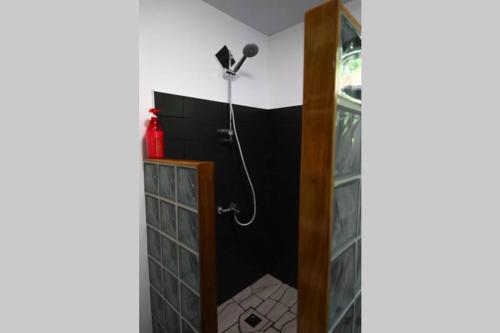 y baño con ducha y pared negra. en Bienvenue au Mati House en Fitii