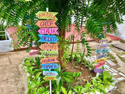 Un jardín fuera de Alojamientos Neca