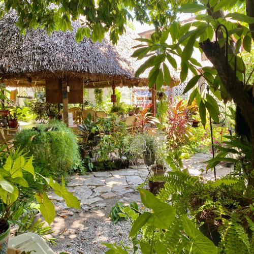 Hostal Casa Huasteca Hostal Casa Huasteca