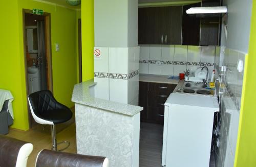 Kuchyň nebo kuchyňský kout v ubytování Apartman Stevanovic