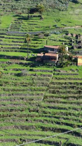 an aerial view of a field with palm trees at Casas Rurales Los Manantiales in El Cercado