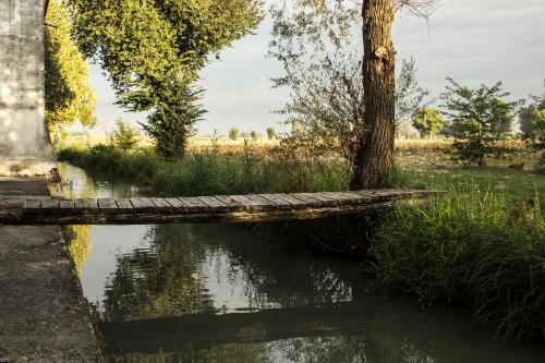 a tree sitting next to a body of water at Corte Mainolda in Castellucchio