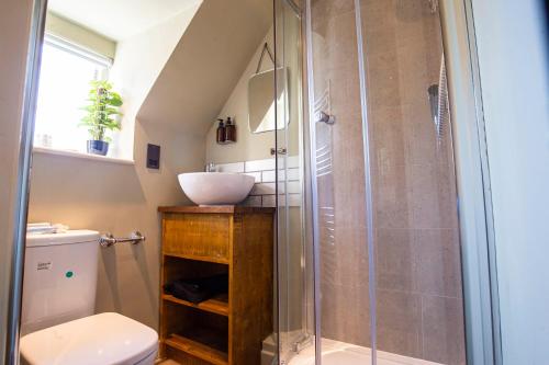 a bathroom with a shower with a toilet and a sink at Kings Arms Hotel in Stansted Mountfitchet